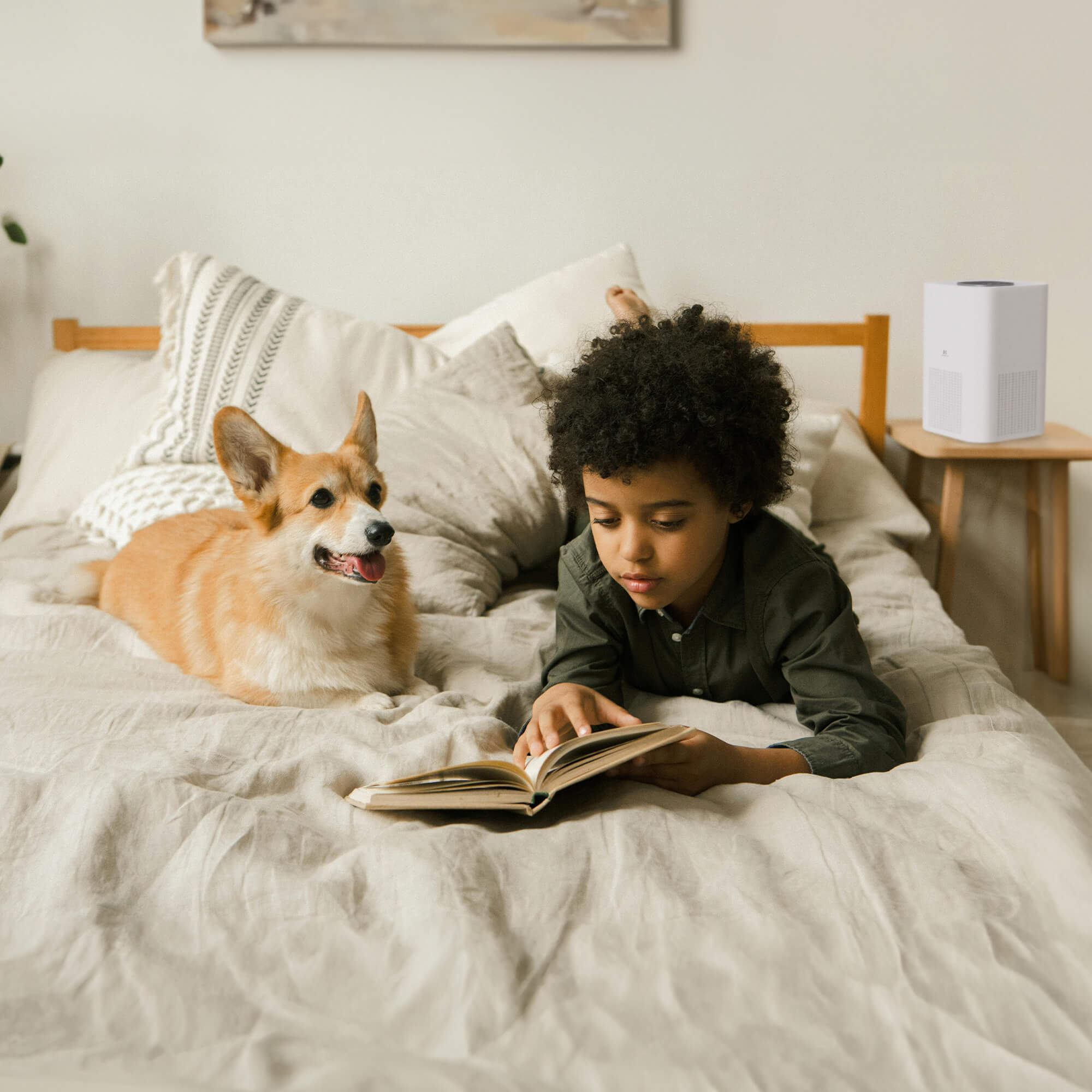 Boy reading with dog with purifier running on side table