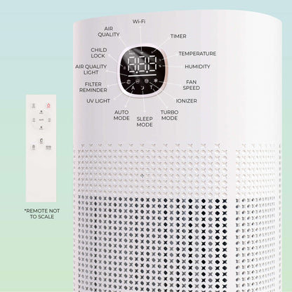 VP-300-WI infographic showcasing display screen, functions, and the remote control