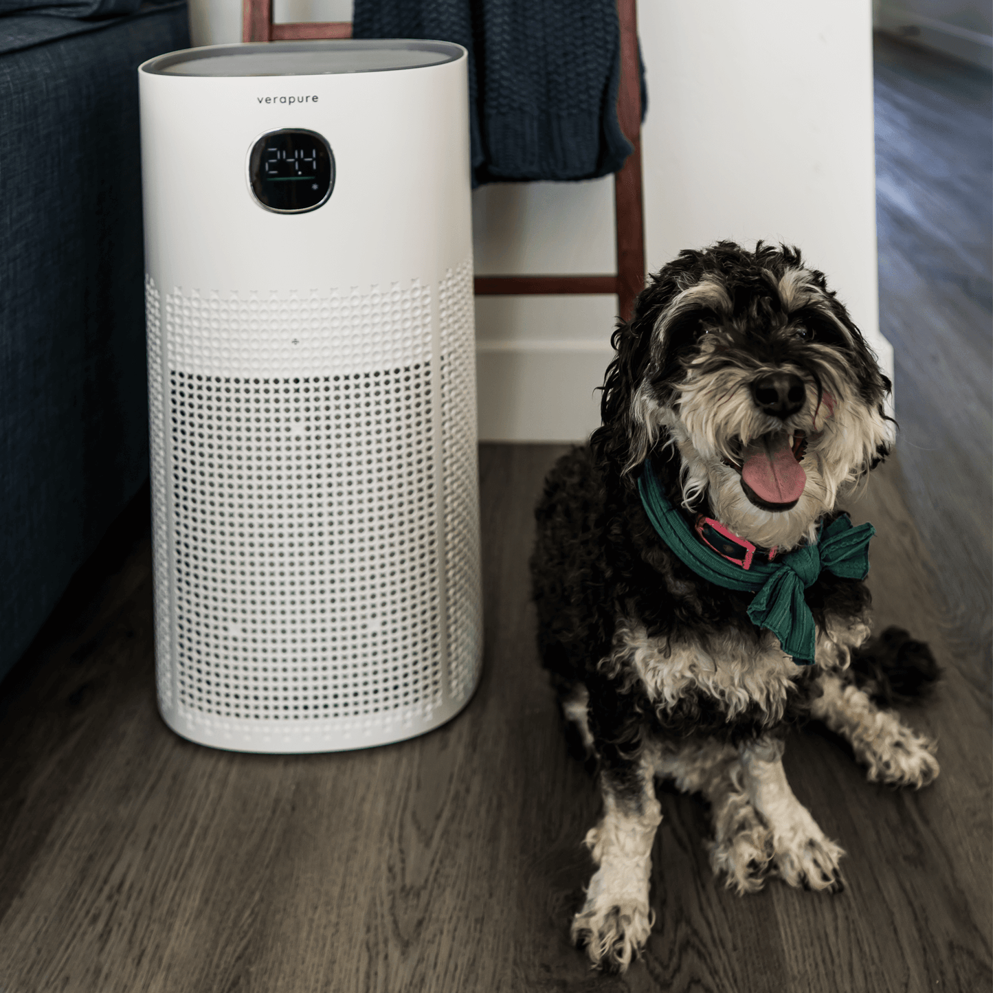 Cute dog sitting next to VP-300-WI air purifier